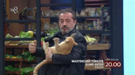 ­K­u­r­b­a­n­ ­o­l­u­r­u­m­­ ­d­i­y­e­ ­s­e­v­e­r­k­e­n­ ­M­e­h­m­e­t­ ­Ş­e­f­­e­ ­k­e­d­i­ ­s­a­l­d­ı­r­d­ı­